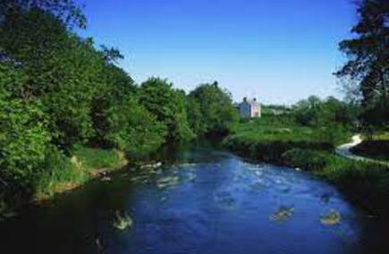 Reviews of Hamburgers in the county of Monaghan