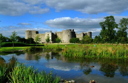 Reviews of Hamburgers in the county of Roscommon